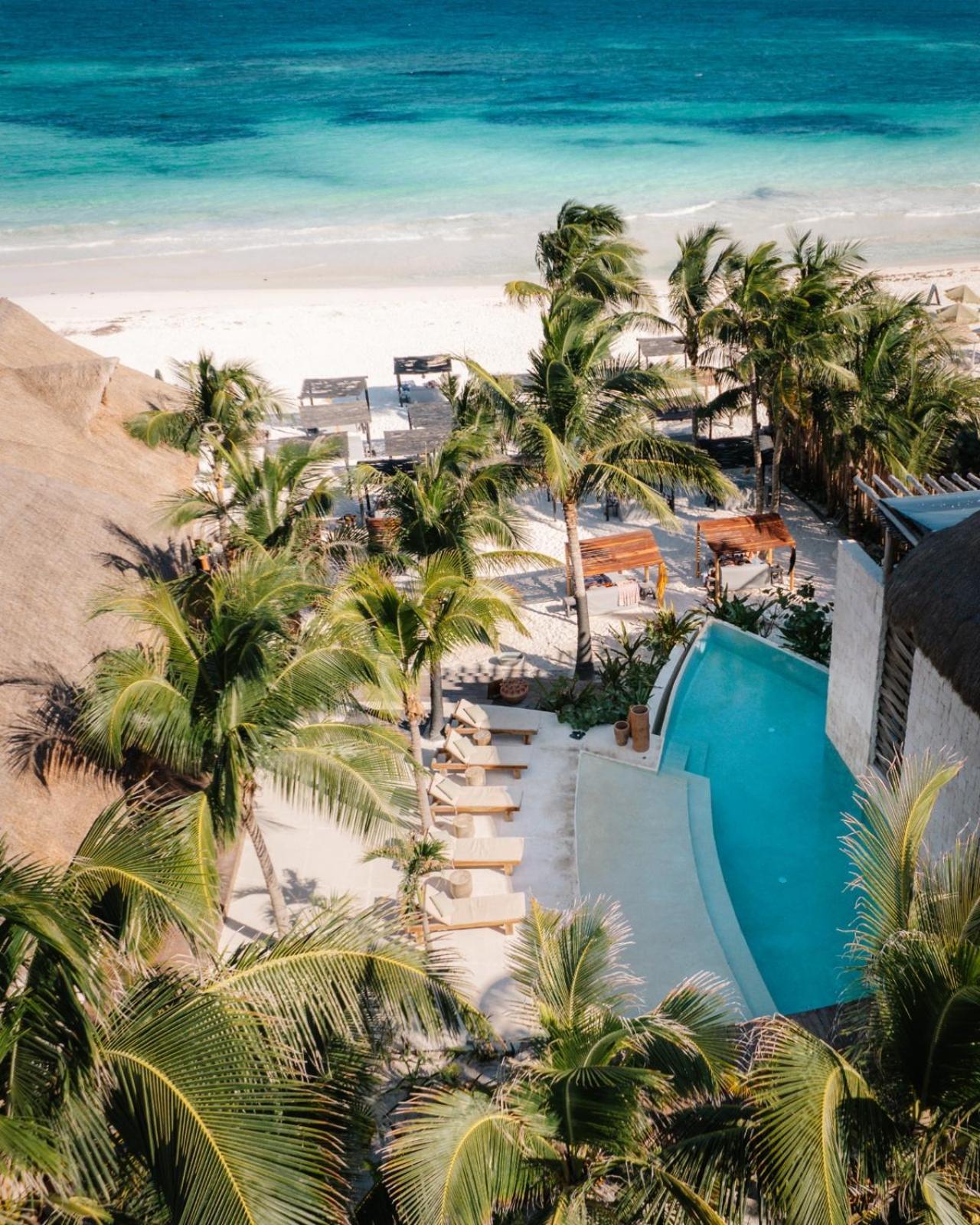 Gulliver Condo - Free Beach Club Access & Bikes トゥルム エクステリア 写真
